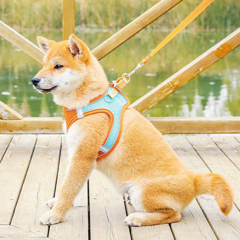 Small Size Dogs Pet Hand Holding Rope Vest-Style Dog Teddy Bichon Pomeranian Puppy Chest Strap Dog Chain Dog Leash