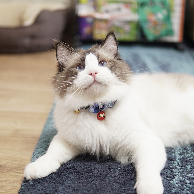 Cat World Japan Thousands of Customers Bring In Wealth and Treasure Cat Collar Pet Necklace ID Tag Collar Ornament Accessories
