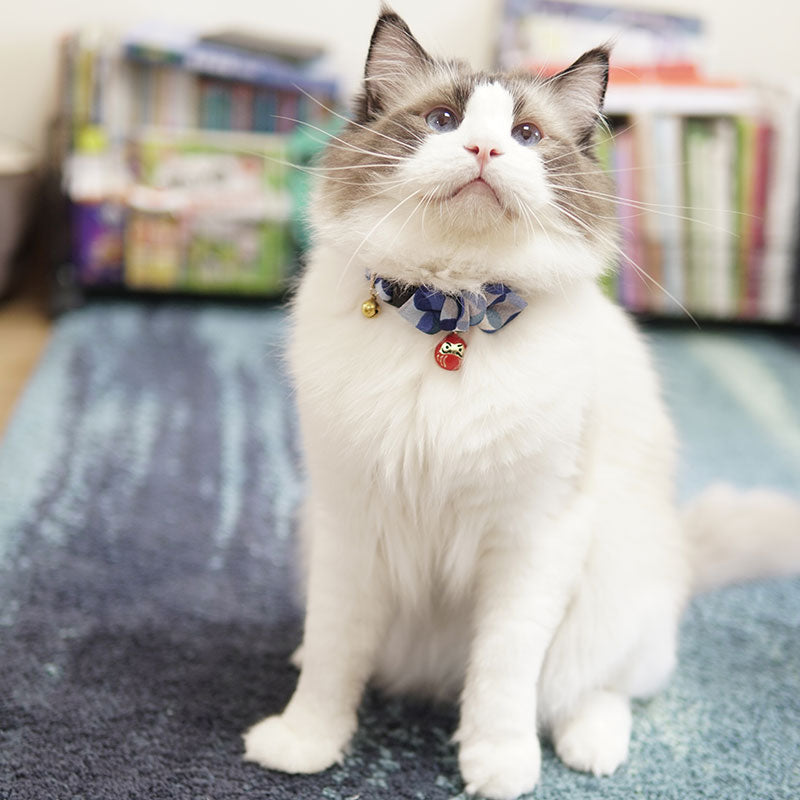 Cat World Japan Thousands of Customers Bring In Wealth and Treasure Cat Collar Pet Necklace ID Tag Collar Ornament Accessories