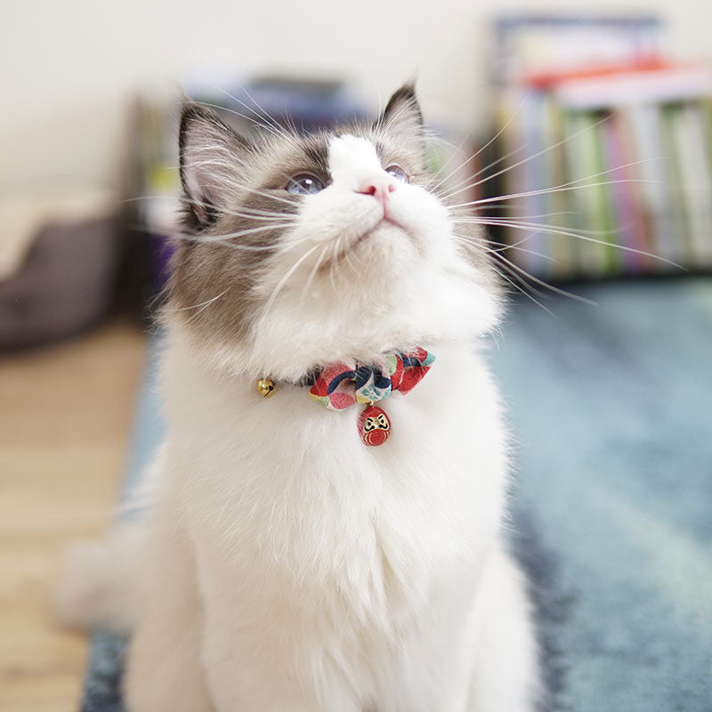 Cat World Japan Thousands of Customers Bring In Wealth and Treasure Cat Collar Pet Necklace ID Tag Collar Ornament Accessories