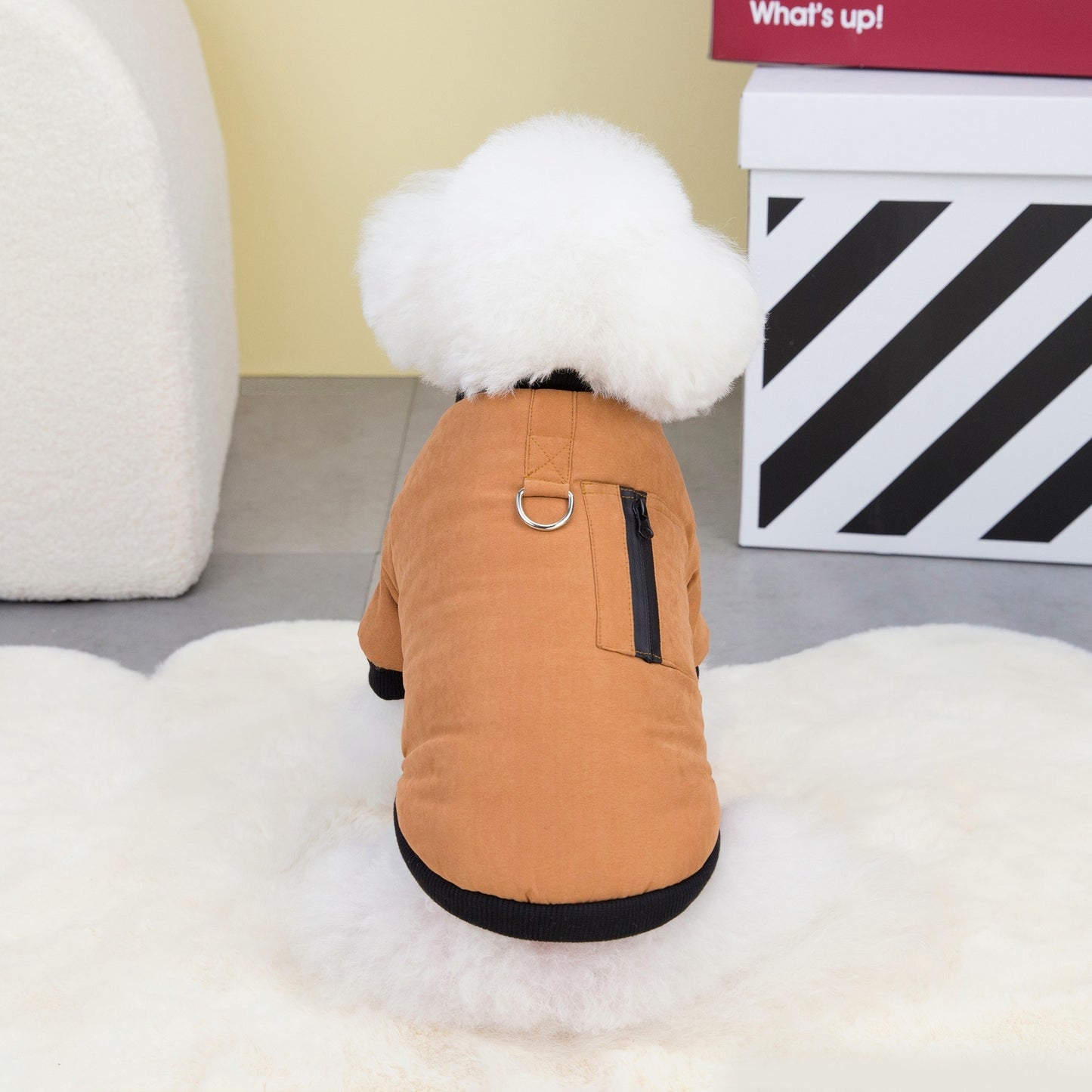 Cat Clothes Pet Clothing Dog Clothes Pet Clothes Pet Skirt 23 Color Zipper Cotton-Padded Clothes J