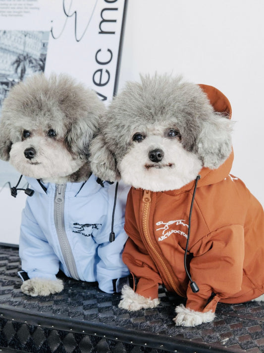 Dog Cat Trendy Shell Jacket Ancestor Dog Fall and Winter Heattech Teddy Bichon Schnauzer Windproof Pet Clothes