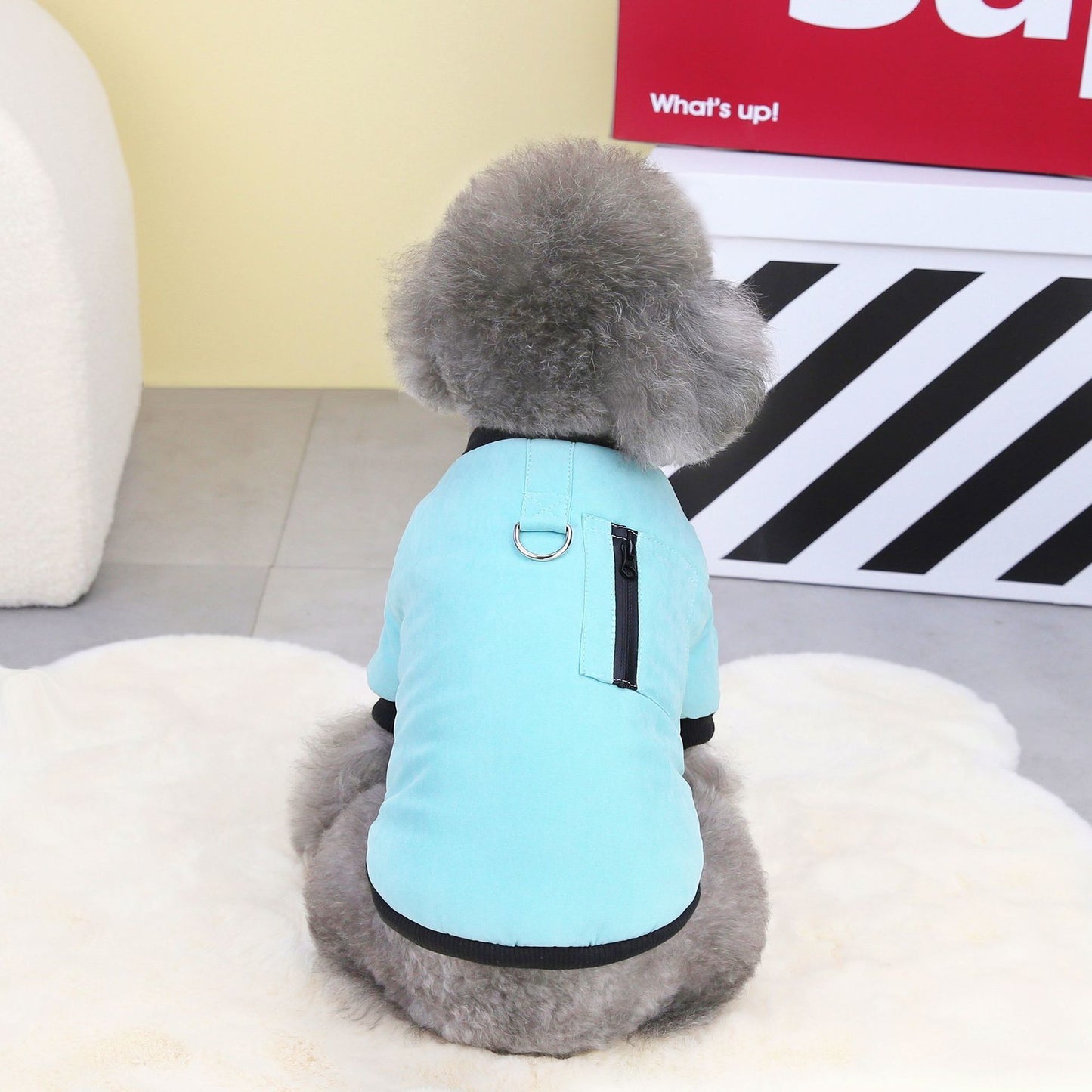 Cat Clothes Pet Clothing Dog Clothes Pet Clothes Pet Skirt 23 Color Zipper Cotton-Padded Clothes J