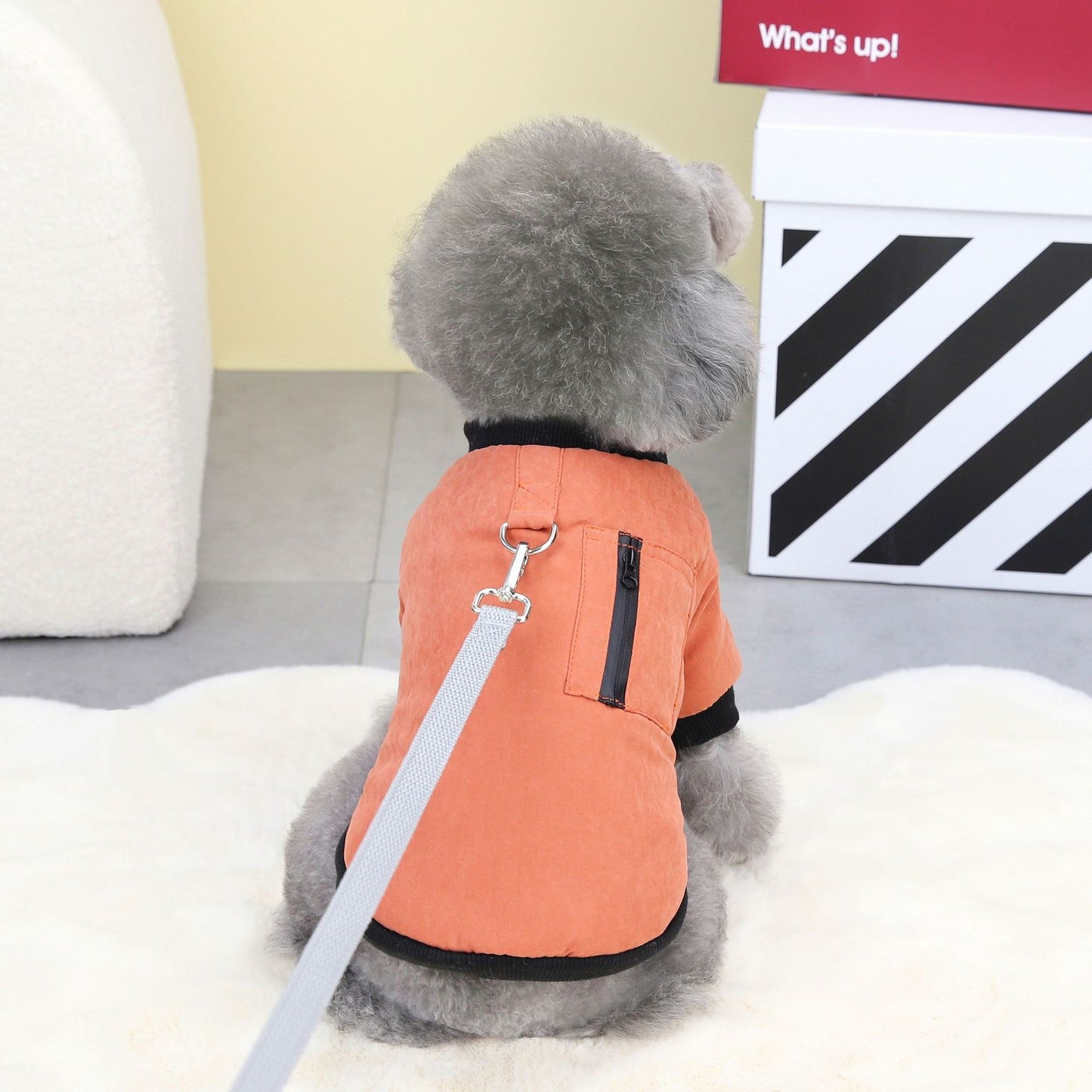 Cat Clothes Pet Clothing Dog Clothes Pet Clothes Pet Skirt 23 Color Zipper Cotton-Padded Clothes J