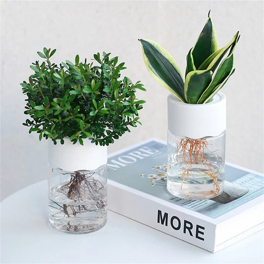 Mini Hydroponic Flower Pot Plastic Water Planting Vase Transparent Imitation Glass Soilless Plant Pots Container Home Decoration