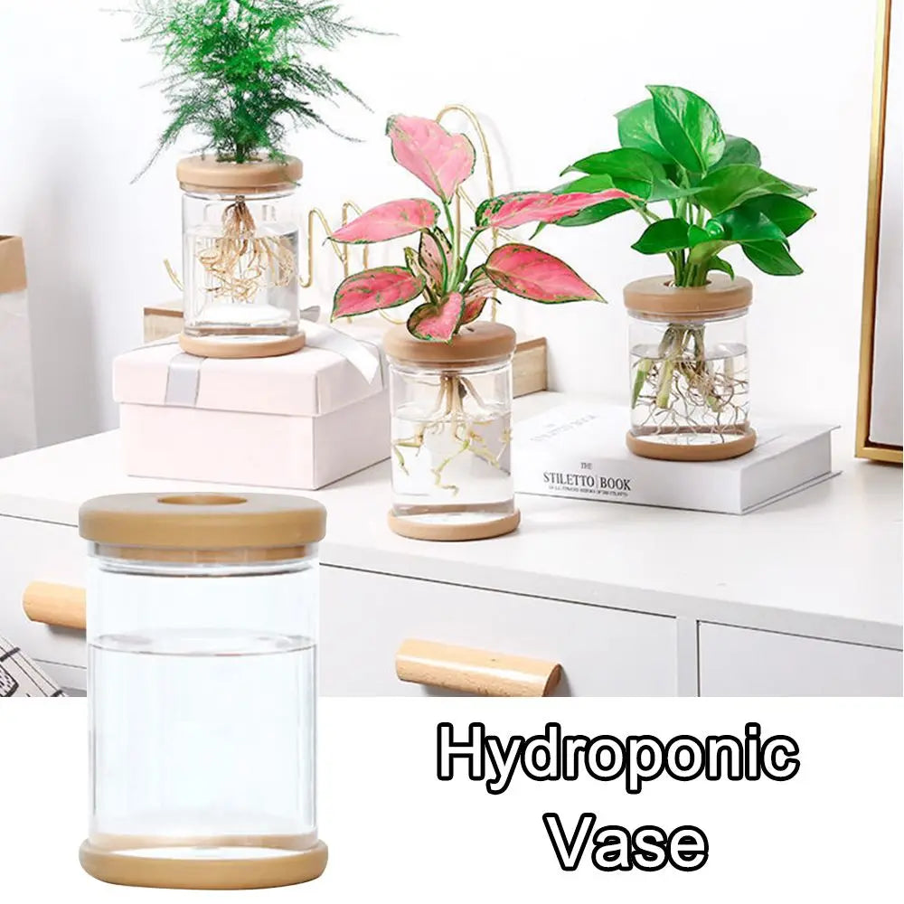 1pc Hydroponic Plant Plastic Vase Self-Absorbing Water Pot Office Tabletop Feng Shui Transparent Bottle Ornaments