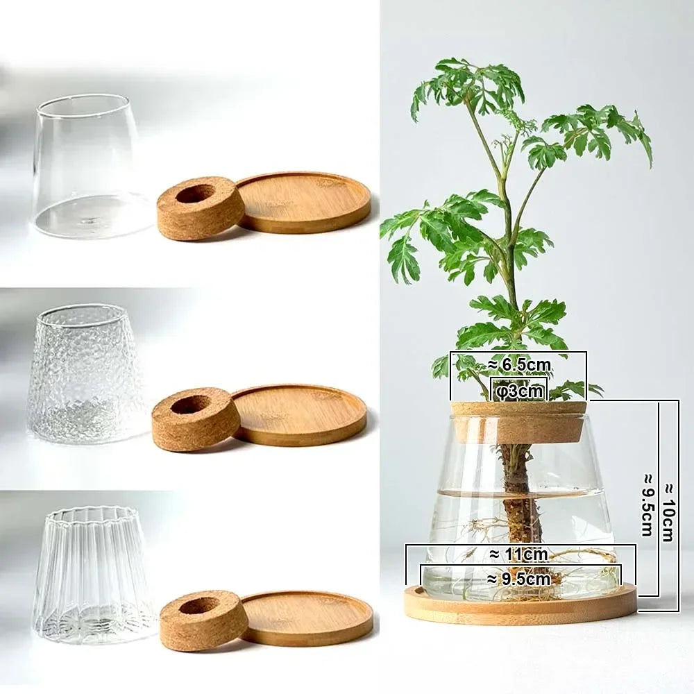 2/1Pcs Transparent Small Vase For Home Decoration Hydroponic Plants Glass Flower Pots Garden Decor With Base Tray Plant Pots