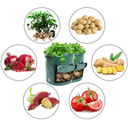 Potato Grow Bags PE Vegetable Planter Growing Bag DIY Fabric Grow Pot Outdoor Garden Pots Garden Tools Veget Garden 3 Gallons