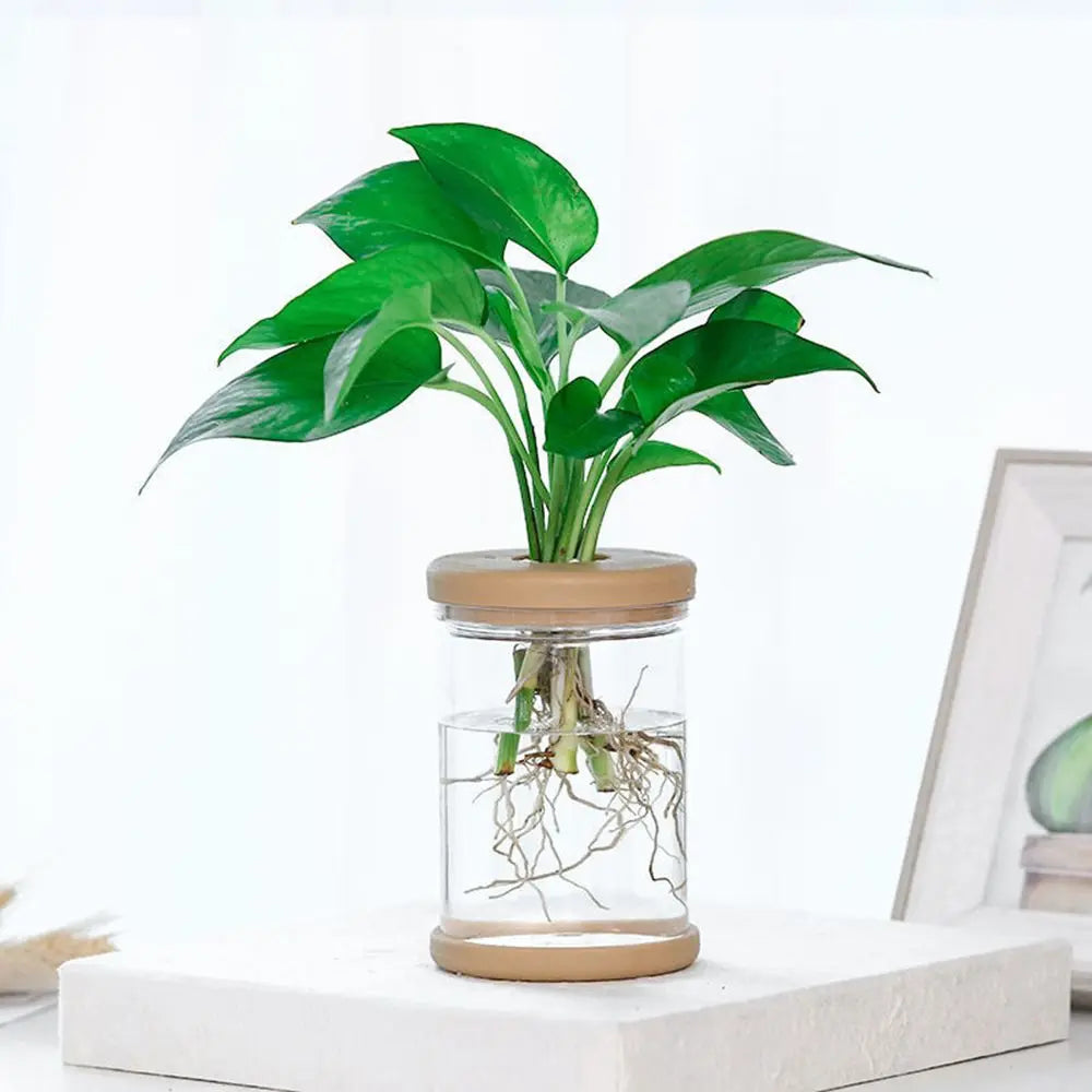 1pc Hydroponic Plant Plastic Vase Self-Absorbing Water Pot Office Tabletop Feng Shui Transparent Bottle Ornaments