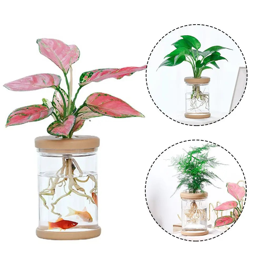 Transparent Hydroponic Vase Plastic Vase Simple Style Plant Flower Pot Flower Arrangement Home Decoration Tabletop Ornament