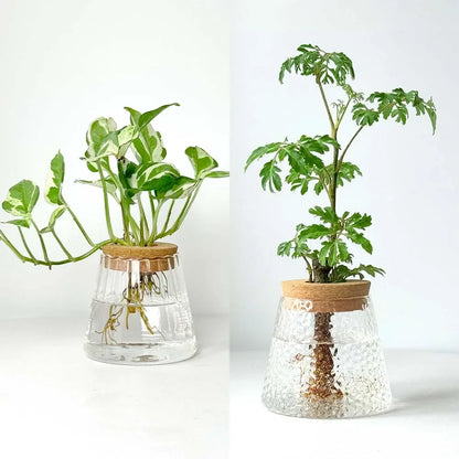 2/1Pcs Transparent Small Vase For Home Decoration Hydroponic Plants Glass Flower Pots Garden Decor With Base Tray Plant Pots