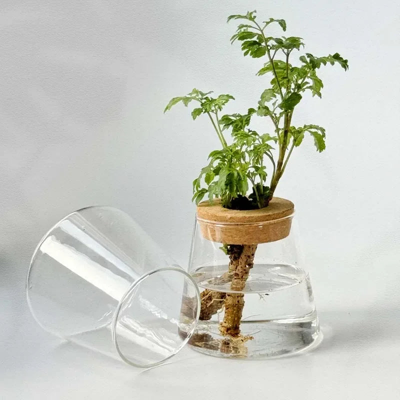 2/1Pcs Transparent Small Vase For Home Decoration Hydroponic Plants Glass Flower Pots Garden Decor With Base Tray Plant Pots